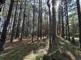 5.47 Acres-TBD High Hill Rd. - Photo 26