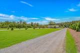 15810 County Line Rd. - Photo 35