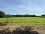 TBD Highway 668 - Photo 4