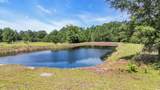 602 Alligator Rd. - Photo 5
