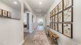 132 Coralberry Dr. - Photo 4