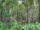 1914 Turkey Creek Rd. - Photo 33