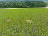 TBD LOT 3 Tansy Rd. - Photo 3