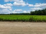 TBD LOT 3 Tansy Rd. - Photo 4