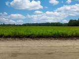 TBD LOT 5 Tansy Rd. - Photo 4
