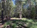33.5 Acres-TBD Union Church Rd. - Photo 10