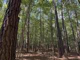 33.5 Acres-TBD Union Church Rd. - Photo 11