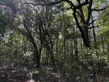 33.5 Acres-TBD Union Church Rd. - Photo 13