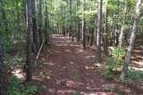 33.5 Acres-TBD Union Church Rd. - Photo 14