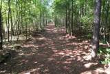33.5 Acres-TBD Union Church Rd. - Photo 15
