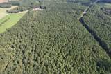 33.5 Acres-TBD Union Church Rd. - Photo 17