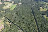 33.5 Acres-TBD Union Church Rd. - Photo 18