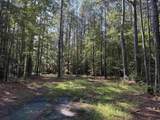 33.5 Acres-TBD Union Church Rd. - Photo 4