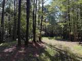33.5 Acres-TBD Union Church Rd. - Photo 5