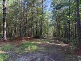 33.5 Acres-TBD Union Church Rd. - Photo 6