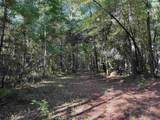 33.5 Acres-TBD Union Church Rd. - Photo 7