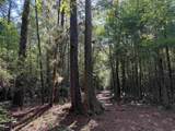 33.5 Acres-TBD Union Church Rd. - Photo 9
