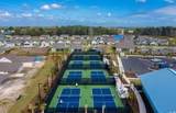 1200 Lady Bird Way - Photo 36