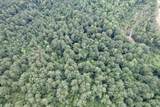 97.83 Acres-TBD Sugar Hill Fox Rd. - Photo 10