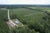 97.83 Acres-TBD Sugar Hill Fox Rd. - Photo 12