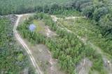 97.83 Acres-TBD Sugar Hill Fox Rd. - Photo 15