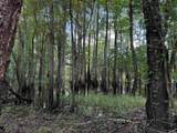 97.83 Acres-TBD Sugar Hill Fox Rd. - Photo 16