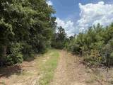 97.83 Acres-TBD Sugar Hill Fox Rd. - Photo 18