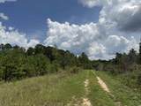 97.83 Acres-TBD Sugar Hill Fox Rd. - Photo 19