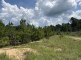 97.83 Acres-TBD Sugar Hill Fox Rd. - Photo 20