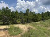 97.83 Acres-TBD Sugar Hill Fox Rd. - Photo 21