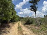 97.83 Acres-TBD Sugar Hill Fox Rd. - Photo 22