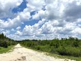 97.83 Acres-TBD Sugar Hill Fox Rd. - Photo 23
