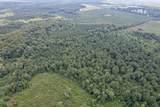 97.83 Acres-TBD Sugar Hill Fox Rd. - Photo 6