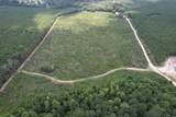 97.83 Acres-TBD Sugar Hill Fox Rd. - Photo 9