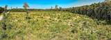 tbd Pitch Landing Rd. - Photo 14