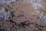 52 Acres-TBD Vox Hwy. - Photo 5