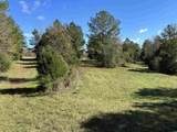 TBD River Fork Rd - Photo 11