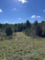 TBD River Fork Rd - Photo 14