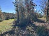 TBD River Fork Rd - Photo 18