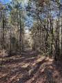 TBD River Fork Rd - Photo 2