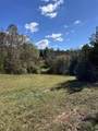 TBD River Fork Rd - Photo 21