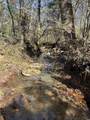 TBD River Fork Rd - Photo 24