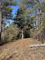TBD River Fork Rd - Photo 29