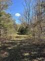 TBD River Fork Rd - Photo 4