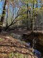 TBD River Fork Rd - Photo 5