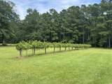 845 Old Buck Creek Rd. - Photo 19