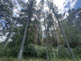 845 Old Buck Creek Rd. - Photo 9