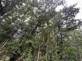TBD Shelley Path - Photo 16