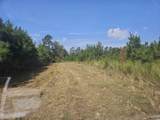 109 Acres - TBD Trifalia Rd. - Photo 4