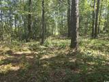 TBD Allen Dew Rd. - Photo 2